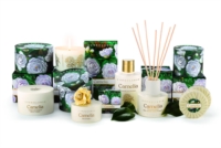 L Erbolario Linea Frangipani   Crema Profumata per il Corpo 200ml